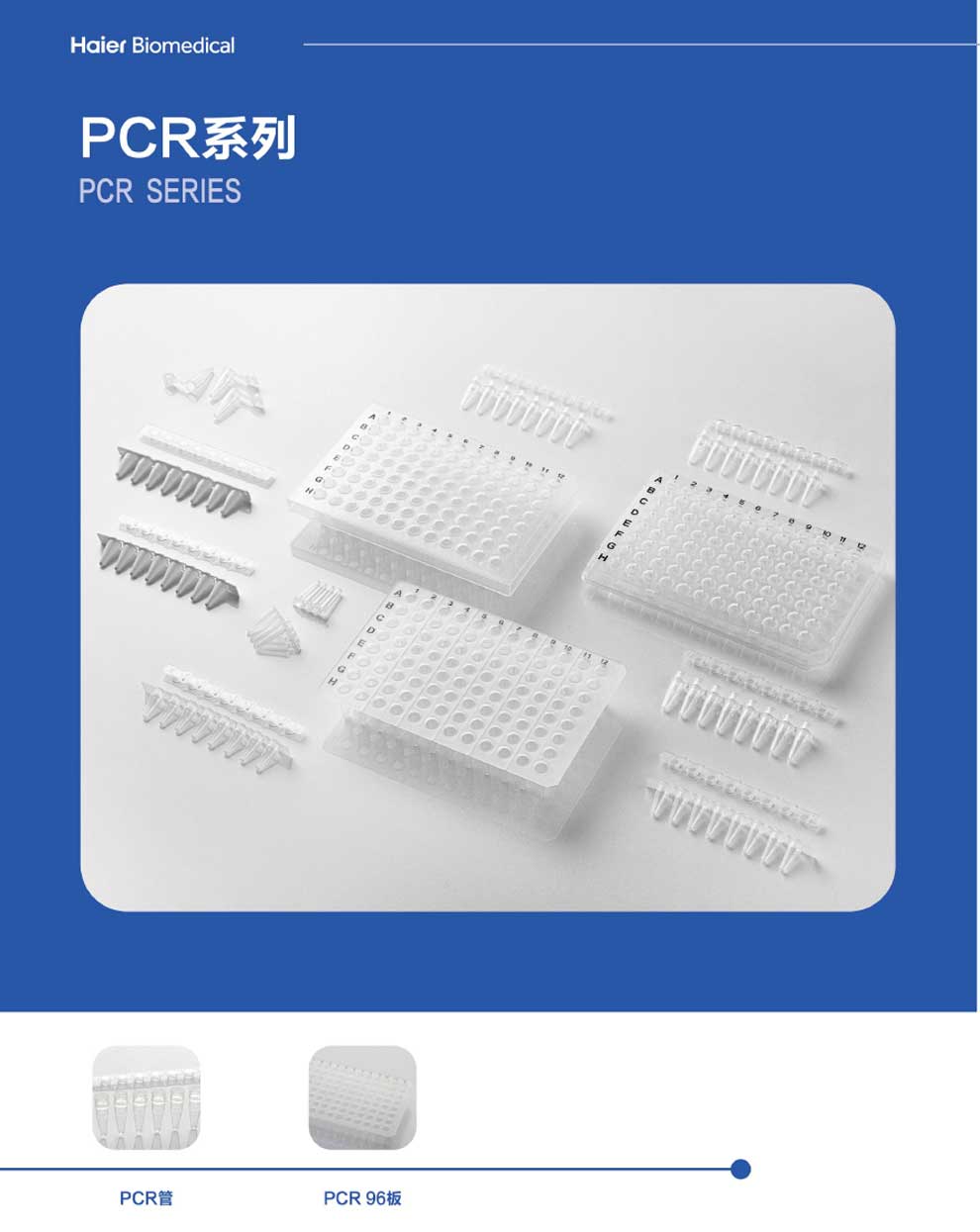 PCR管-彩2.jpg